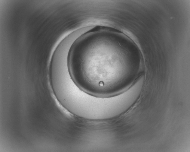 X0000061741152200512161643