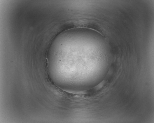 X0000061741153200512161642