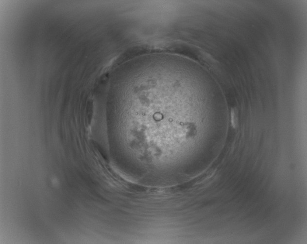 X0000061741155200512161642