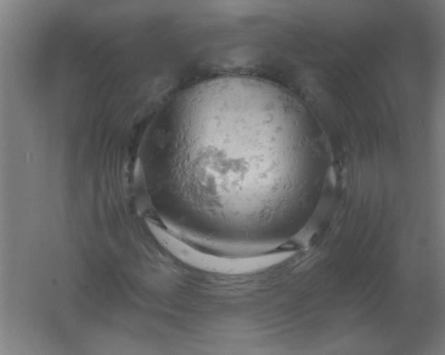 X0000061741156200512161642