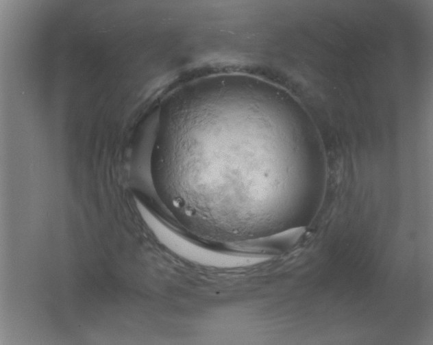 X0000061741157200512161642