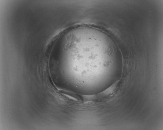 X0000061741159200512161642