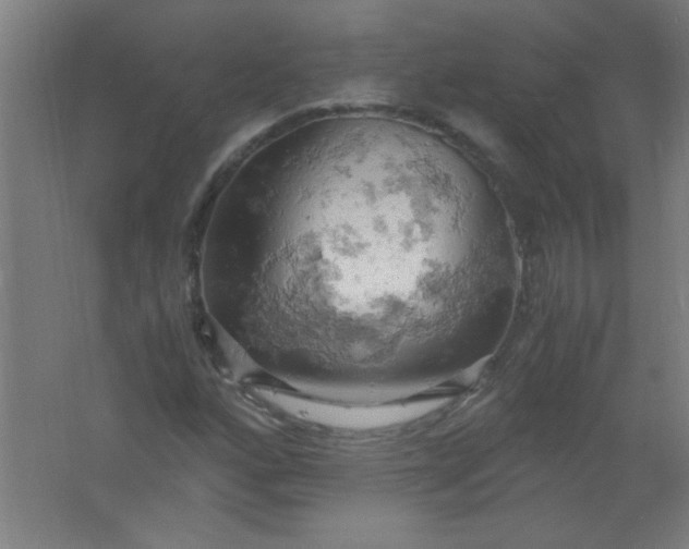 X0000061741160200512161642