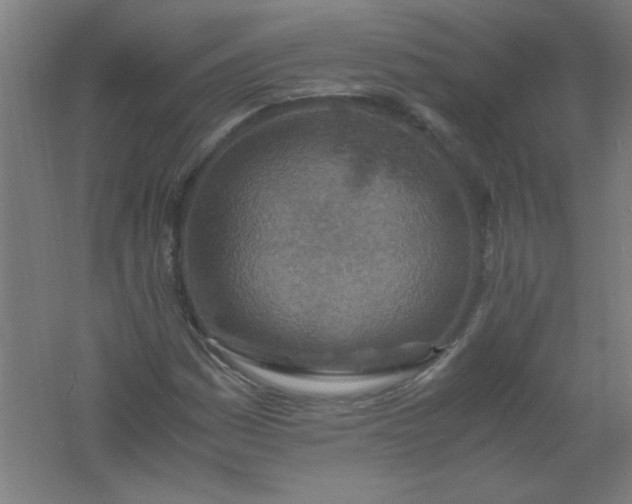 X0000061741161200512161642