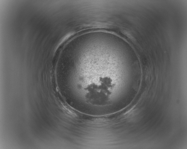 X0000061741163200512161642