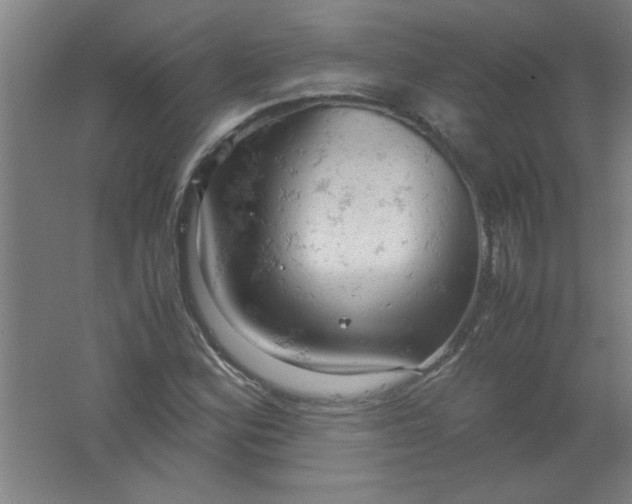 X0000061741164200512161642