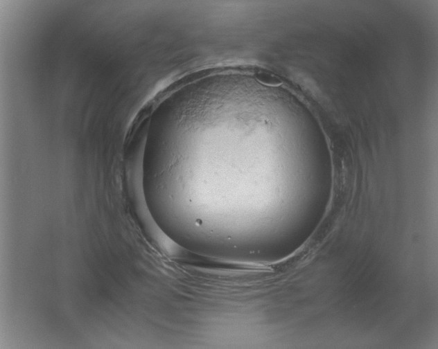 X0000061741165200512161642