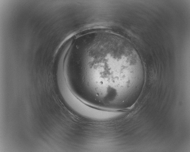 X0000061741166200512161642