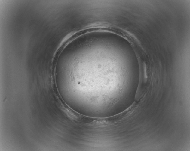 X0000061741168200512161642