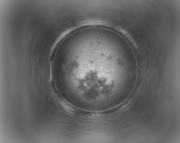 X0000061741175200512161642