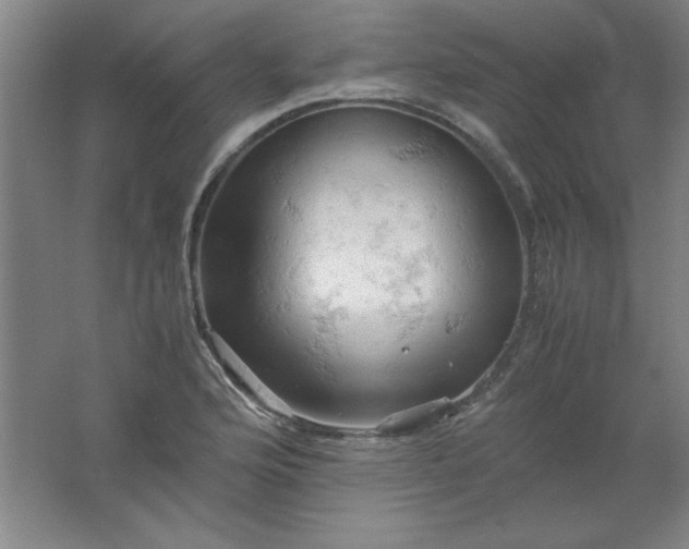 X0000061741176200512161642