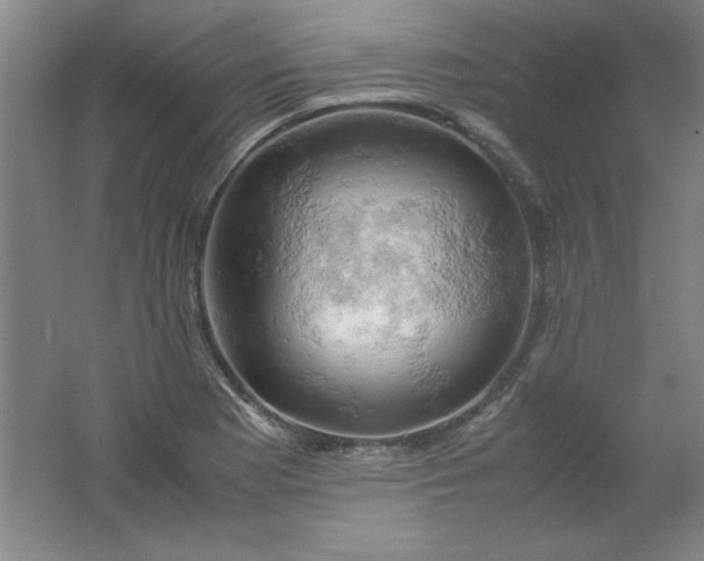 X0000061741177200512161642