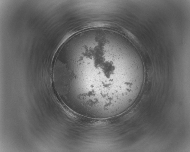 X0000061741178200512161642