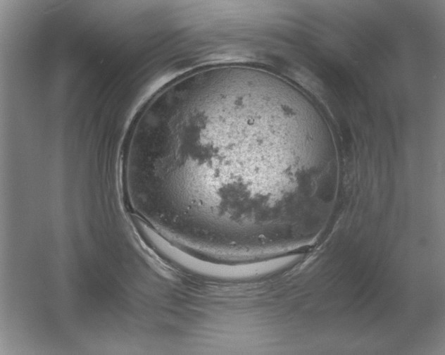 X0000061741179200512161642