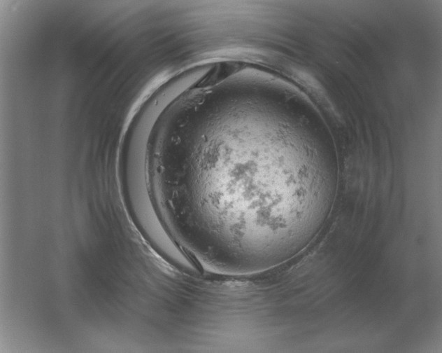 X0000061741180200512161642