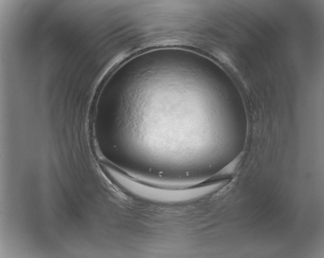 X0000061741181200512161642