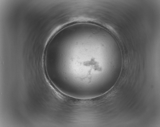 X0000061741183200512161641