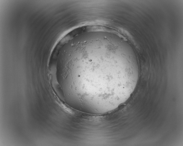 X0000061741184200512161641