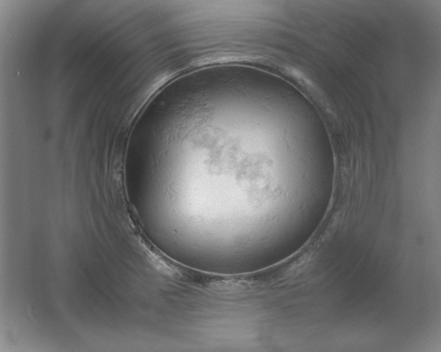 X0000061741185200512161641