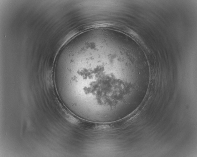 X0000061741186200512161641