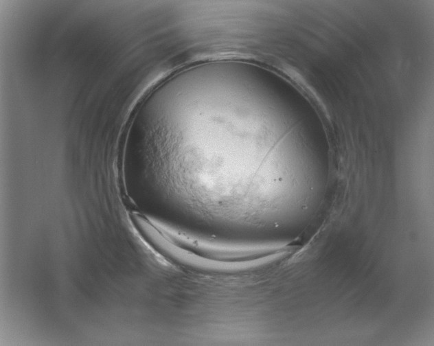 X0000061741189200512161641