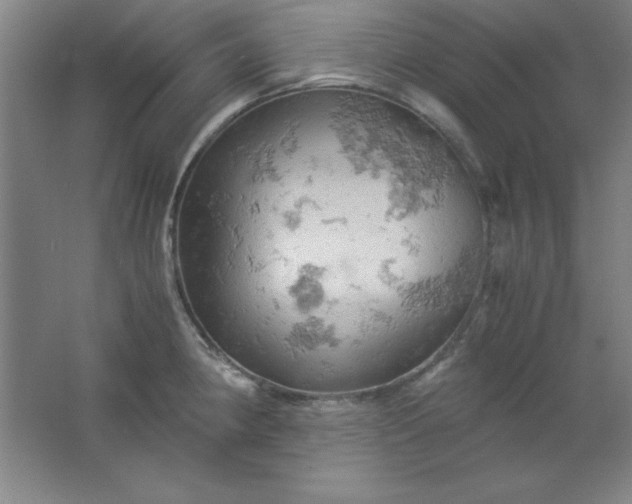 X0000061741190200512161641