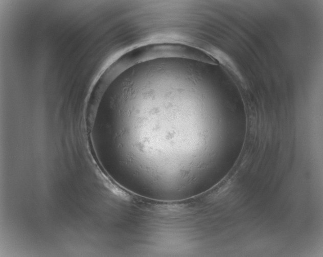 X0000061741192200512161641