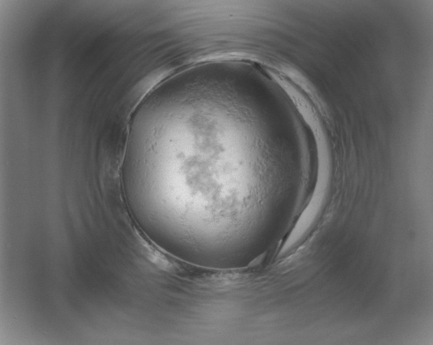 X0000061741193200512161641