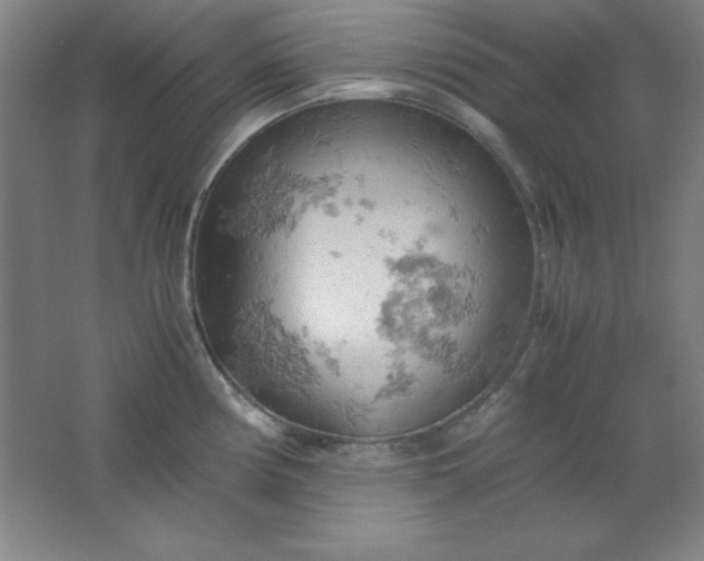 X0000061741194200512161641