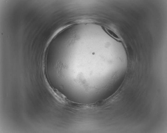 X0000061741195200512161641