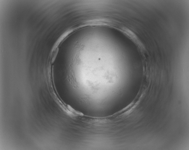 X0000061741196200512161641