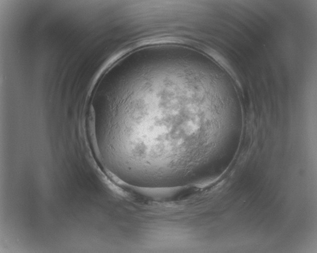 X0000061741197200512161641