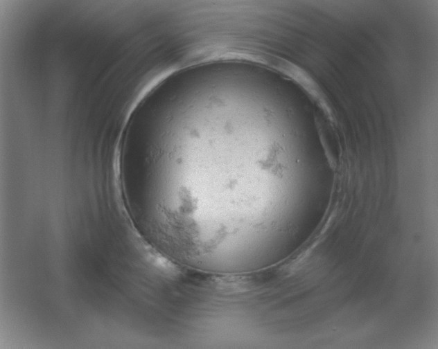 X0000061741198200512161641