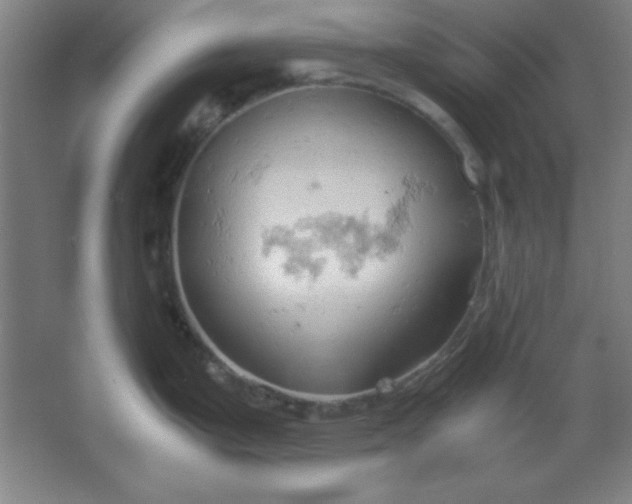 X0000061741199200512161641