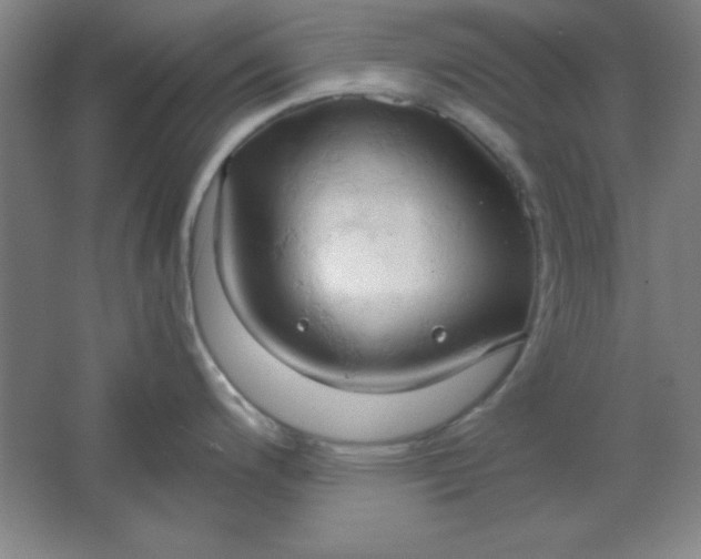 X0000061741200200512161641