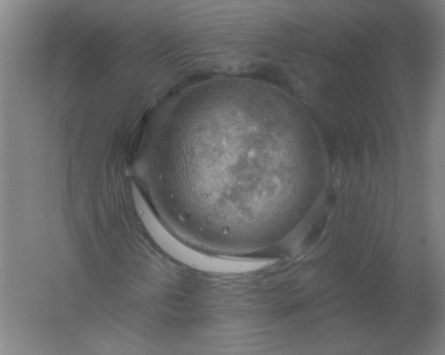 X0000061741202200512161640