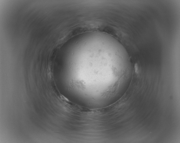 X0000061741203200512161640