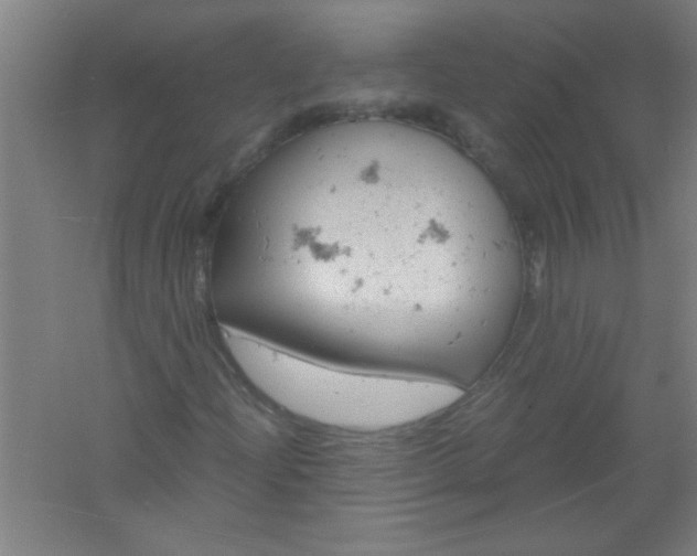 X0000061741204200512161640