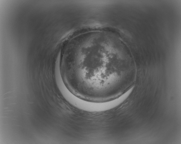 X0000061741205200512161640