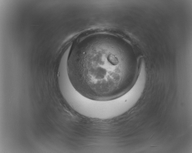 X0000061741206200512161640