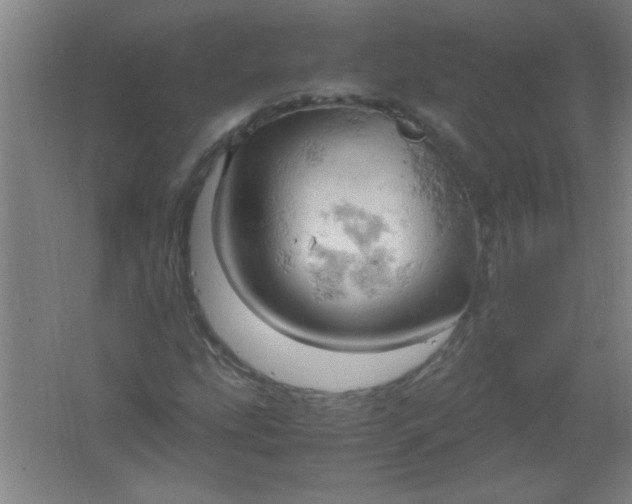 X0000061741207200512161640