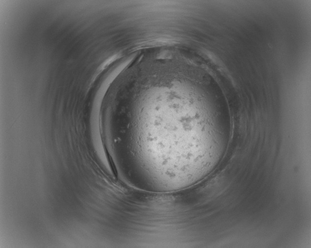 X0000061741210200512161641