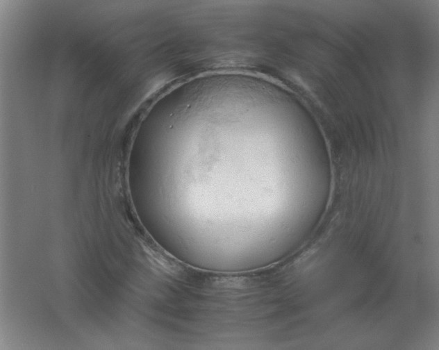 X0000061741211200512161641