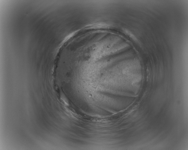 X0000061741213200512161641