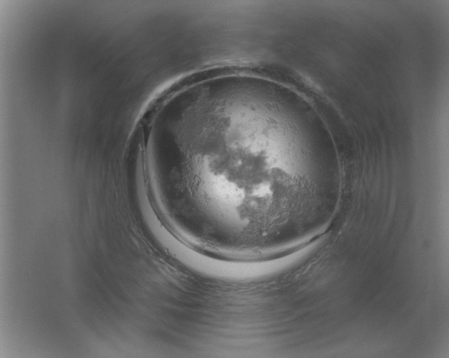 X0000061741214200512161641