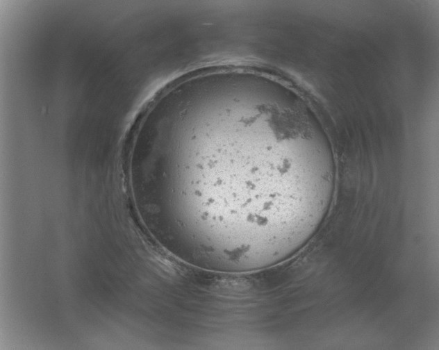 X0000061741215200512161641