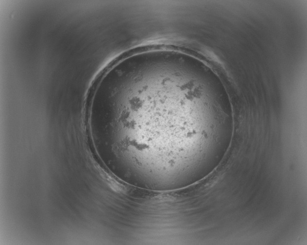 X0000061741216200512161641