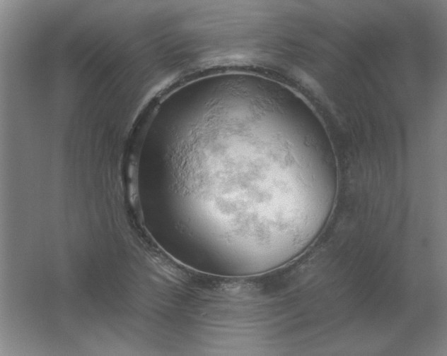 X0000061741218200512161641