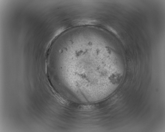 X0000061741219200512161641