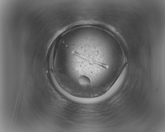 X0000061741221200512161641